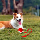 Pelota rodante inteligente recargable para gatos y perros — juguete interactivo