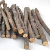 Palitos de Manzana para Roer – Juguete Dental Natural para Hámster, Conejo y Chinchilla