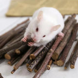Palitos de Manzana para Roer – Juguete Dental Natural para Hámster, Conejo y Chinchilla