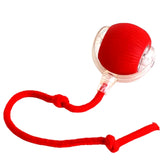 Pelota rodante inteligente recargable para gatos y perros — juguete interactivo