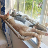 Hamaca de ventana para gatos — cama suspendida con ventosas soporta hasta 20 kg