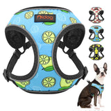 Arnés con Diseño de Frutas para Perros y Gatos Pequeños – Chaleco Reflectante de Malla