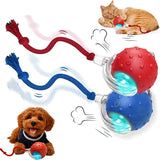 Pelota Rodante Interactiva para Perro – Juguete Autorolón Recargable USB