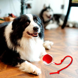 Pelota rodante inteligente recargable para gatos y perros — juguete interactivo