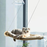 Hamaca de ventana para gatos — cama suspendida con ventosas soporta hasta 20 kg